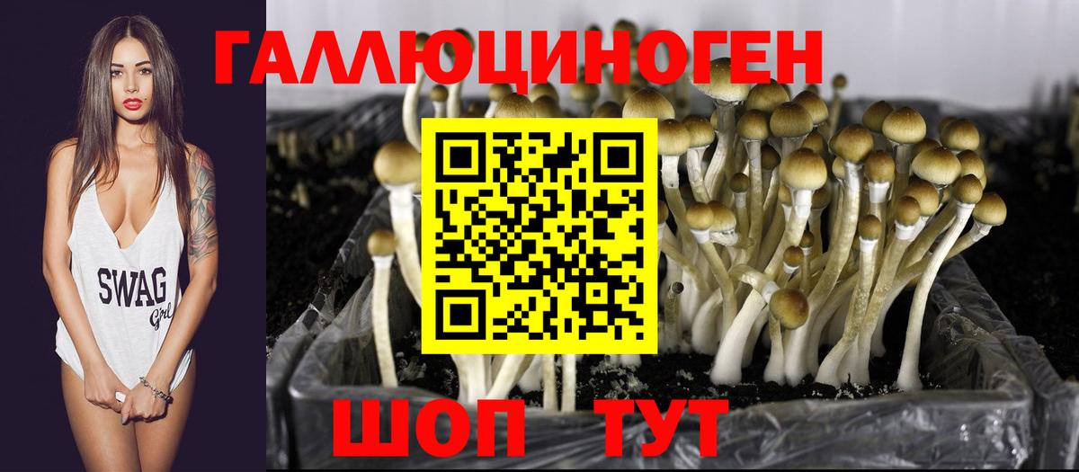 Киреевск  Галлюциногенные грибы мухоморы  Вход с VPN 